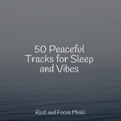 50 Peaceful Tracks for Sleep and Vibes