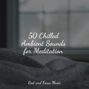 50 Chilled Ambient Sounds for Meditation