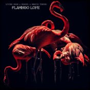 Flamingo Love