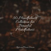 50 Mindfulness Collection for Peaceful Mindfulness