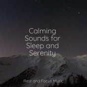 Calming Sounds for Sleep and Serenity