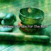 43 Deep Scrubs For The Mind