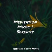 Meditation Music | Serenity