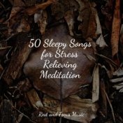 50 Sleepy Songs for Stress Relieving Meditation