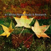 61 White Noise Study & Research