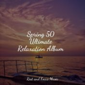 Spring 50 Ultimate Relaxation Album