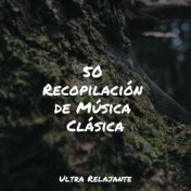 50 Recopilación de Música Clásica