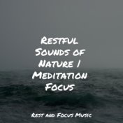 Restful Sounds of Nature | Meditation Focus