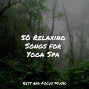 50 Relaxing Songs for Yoga Spa