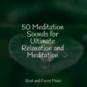 50 Meditation Sounds for Ultimate Relaxation and Meditation