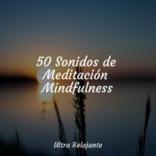 50 Sonidos de Meditación Mindfulness