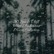 50 Spa & Chill Vibes Meditation Music Collection