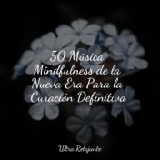 50 Música Mindfulness de la Nueva Era Para la Curación Definitiva