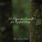 50 Hypnotic Sounds for Restful Sleep