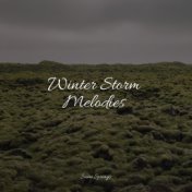 Winter Storm Melodies