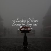 50 Soothing Nature Sounds for Sleep and Relaxation
