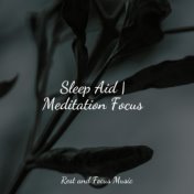 Sleep Aid | Meditation Focus