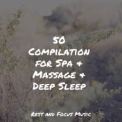 50 Compilation for Spa & Massage & Deep Sleep