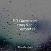 50 Ambientes Tranquilos y Constantes