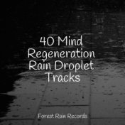 40 Mind Regeneration Rain Droplet Tracks