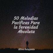 50 Melodías Pacíficas Para la Serenidad Absoluta