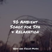 50 Ambient Songs for Spa & Relaxation