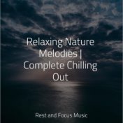 Relaxing Nature Melodies | Complete Chilling Out