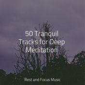 50 Tranquil Tracks for Deep Meditation