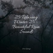 25 Relaxing Winter 25 - Beautiful Rain Sounds
