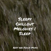 Sleepy Chillout Melodies | Sleep