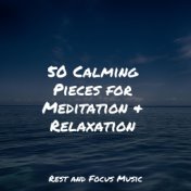 50 Calming Pieces for Meditation & Relaxation