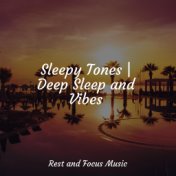 Sleepy Tones | Deep Sleep and Vibes