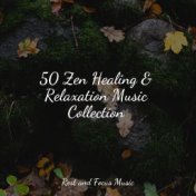50 Zen Healing & Relaxation Music Collection