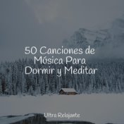 50 Canciones de Música Para Dormir y Meditar