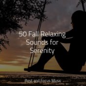 50 Fall Relaxing Sounds for Serenity