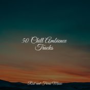 50 Chill Ambience Tracks