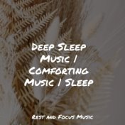 Deep Sleep Music | Comforting Music | Sleep