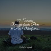 50 Sonidos Reconfortantes Para la Paz Mindfulness