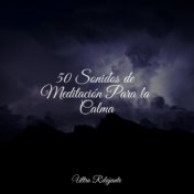 50 Sonidos de Meditación Para la Calma