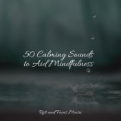 50 Calming Sounds to Aid Mindfulness