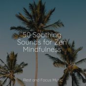 50 Soothing Sounds for Zen Mindfulness