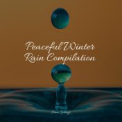 Peaceful Winter Rain Compilation