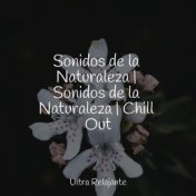 Sonidos de la Naturaleza | Sonidos de la Naturaleza | Chill Out