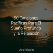 50 Canciones Pacíficas Para El Sueño Profundo y la Relajación