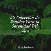 50 Colección de Sonidos Para la Serenidad Del Spa