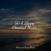 50 A Sleepy Classical Music