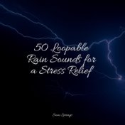 50 Loopable Rain Sounds for a Stress Relief