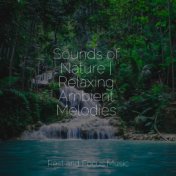 Sounds of Nature | Relaxing Ambient Melodies