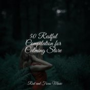 50 Restful Compilation for Calming Store