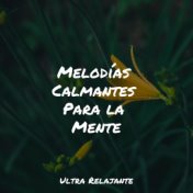 Melodías Calmantes Para la Mente